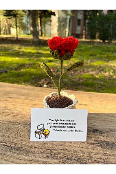 Generic Brand Trandafir roșu tricotat manual în ghiveci, floare tricotată, ca...