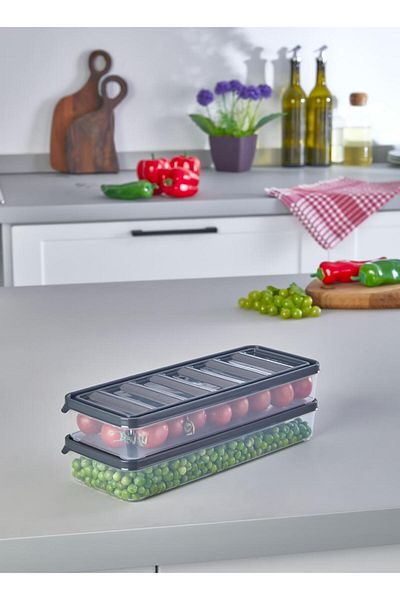 VİZYON 2 Pieces Horizontal Lid Icebox Storage Container Refrigerator Organizer Storage Container