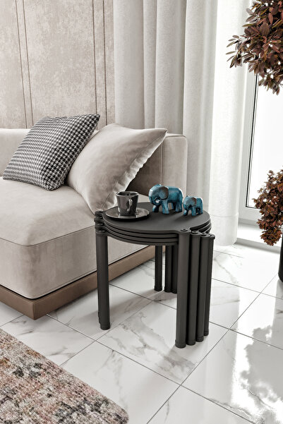 Genel Markalar LA VİA SİYAH YUVARLAK ZİGON 4 LÜ