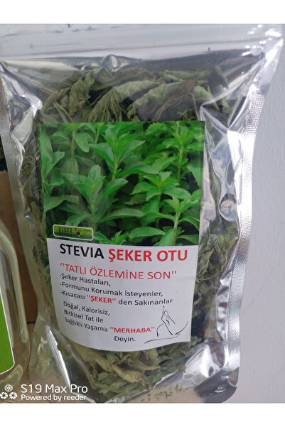 Stevia حلوى 100 جرام أوراق جافة و 140 جرام سائل