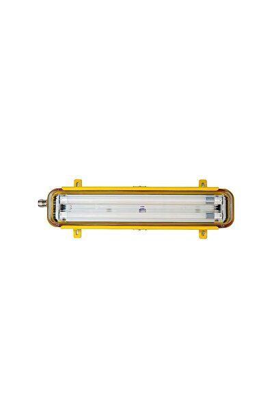 AYDINLATMA ARMATÜRÜ ARYA-ASSHF01 EXP 2*18W