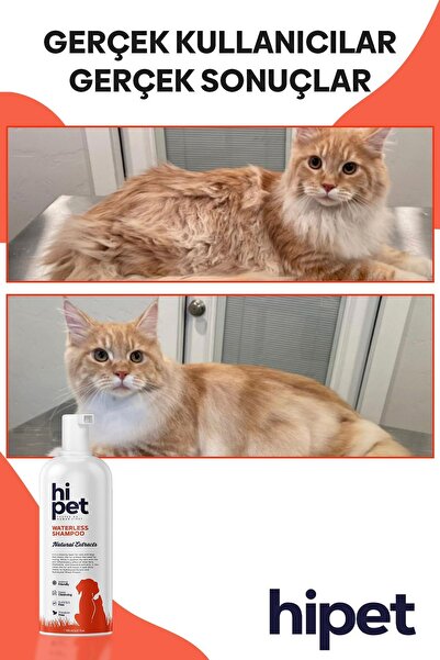 HiPet Kedi Kuru Şampuan