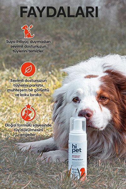 HiPet Köpek Kuru Şampuan