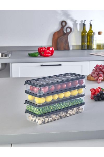 VZN 4 Pcs 1 Lt Horizontal Lid Refrigerator Icebox Organizer Icebox Storage Container
