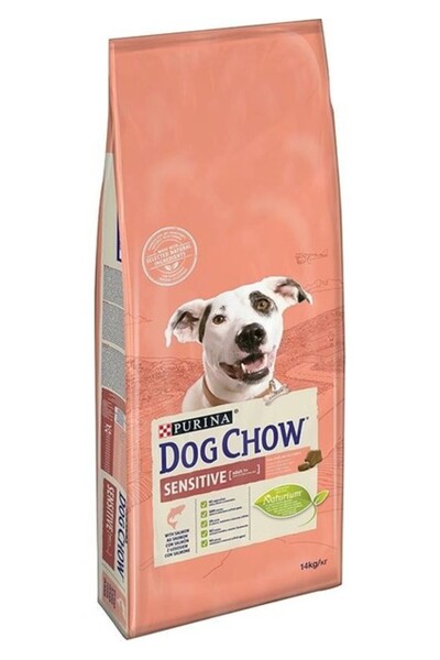 Dog Chow Hassas Köpekler Için Somonlu Yetişkin Köpek Maması 14kg