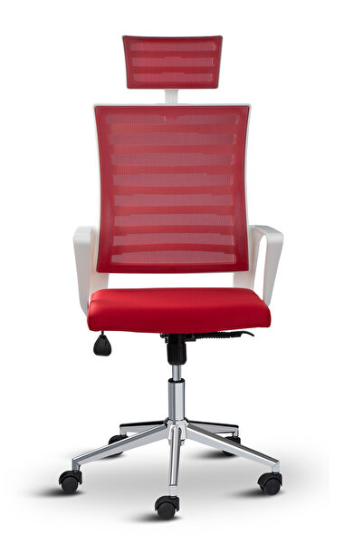 Asbir Mobilya Ceo Fileli Başlıklı Çalışma Koltuğu Beyaz İskeletli Ofis Sandalyesi