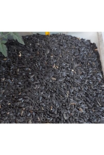 Genel Markalar By Tuna Kuruyemiş Papağan Siyah Çekirdek Yemi Kuş Yemi 1 kg