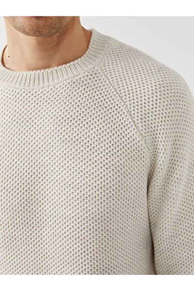 LC Waikiki Bisiklet Yaka Erkek Triko Kazak