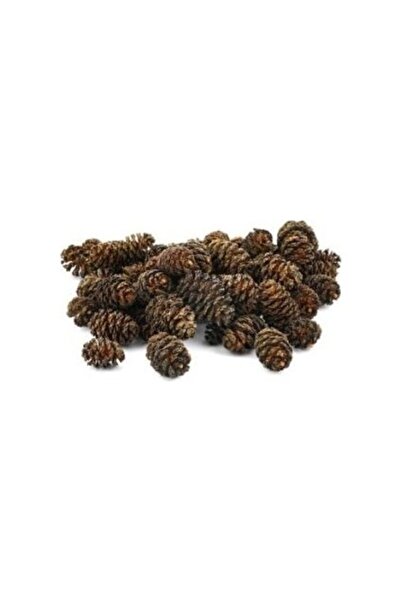 SERA Alder Cones Kızılağaç Kozalağı