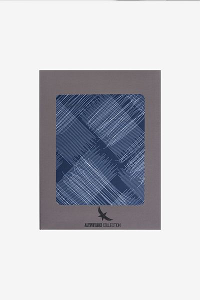 ALTINYILDIZ CLASSICS Ανδρικό μαντήλι με μπλε-λευκό σχέδιο