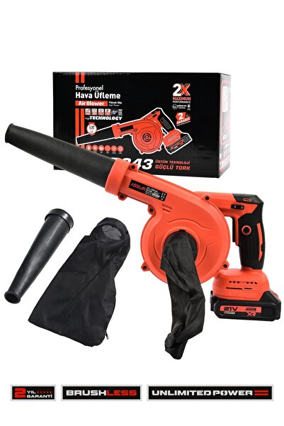 ASSUR Profesyonel 21v Çift Akülü Kompresör Şarjlı Hava Üfleme Makinesi