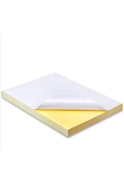 ÇÖZÜM KAĞIT Adestor A4 Kuşe Etiket 200'lü