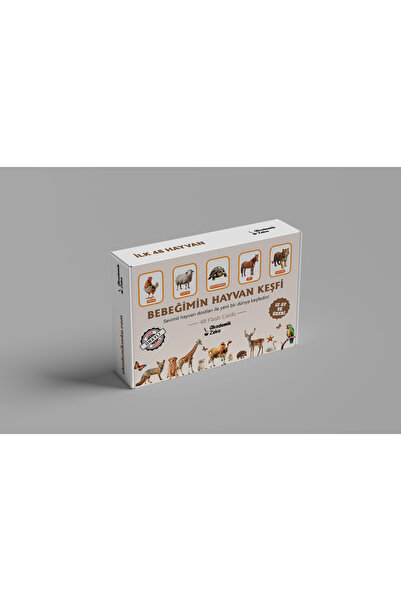 akademik zeka Bebeğimin Hayvan Keşfi Zeka Kartları