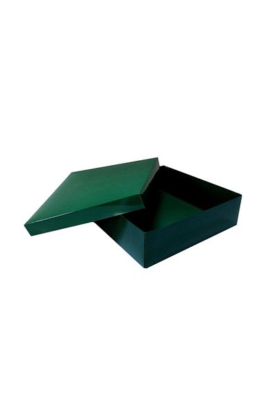 TT Tahtakale Toptancıları Complete Cardboard Box 30X30X10 cm (10 Pieces) Green