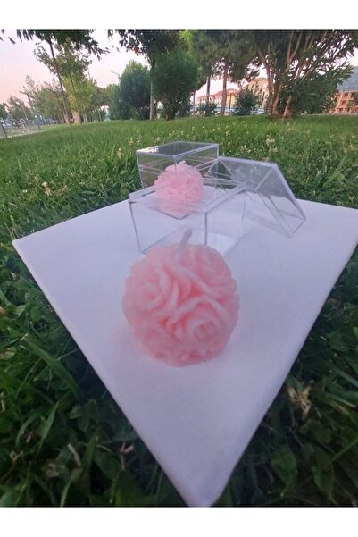 SEVİMLİ TASARİMLAR 5 ADET -Süslemesiz Şeffaf Mika Kutulu (5*5) Somon  Yuvarla...