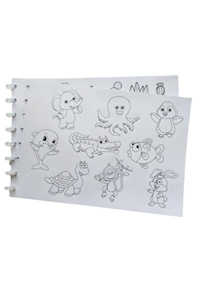 Glanart مجموعة تلوين دفتر الصور مقاس 25 × 35 (الطلاء أولاً بعد اللصق) 20 ورقة + 12 لونًا جافًا