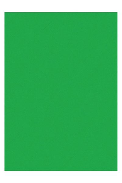 Glanart كرتونة خلفية خضراء فاتحة 10 قطع 50x70 سم