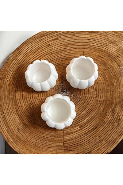 Bilby 3 lü Kabak Desenli Beyaz Sukulent Saksısı