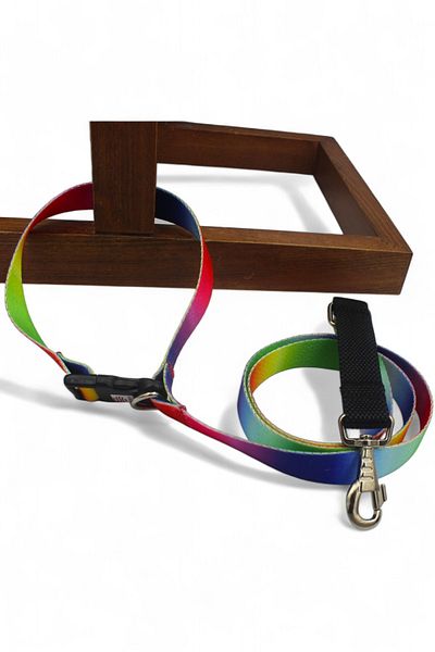 CARAMELOS Anti Shock Insignia with Binding Lock
