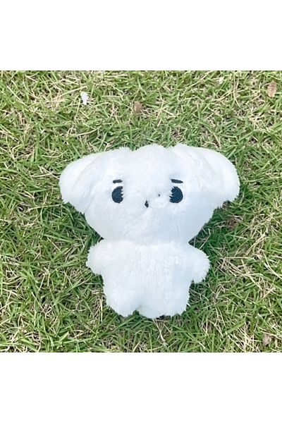 Choice 10cm Keychain Sunghoon Kpop Plush Jungwon Heeseung Jay Jake Sunghoon Stuffed Toys Keyring Kawaii Ca