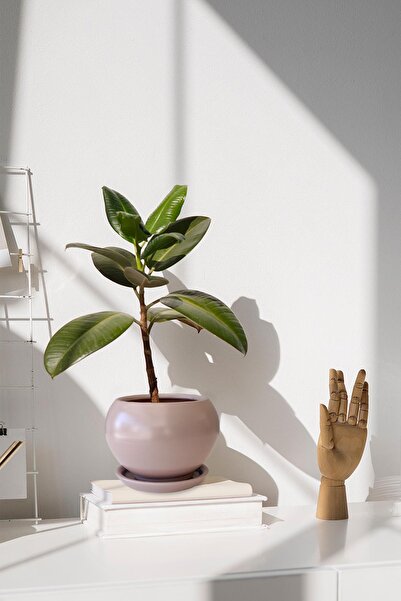 Evdek Tabaklı Vizon Tombul Çömlek Saksı 22x21 Cm