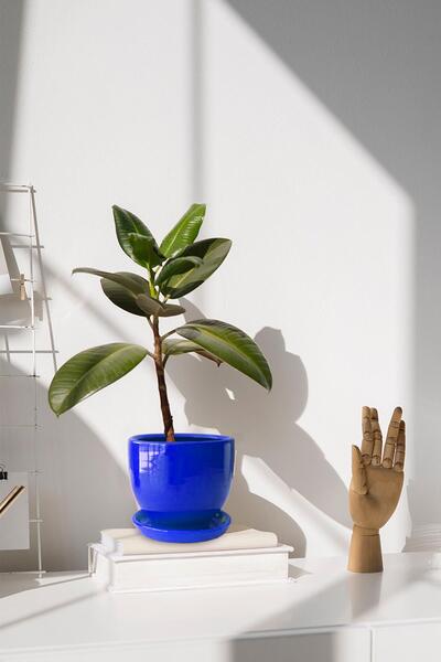 Evdek Tabaklı Lacivert U Çömlek Saksı 24x24 Cm