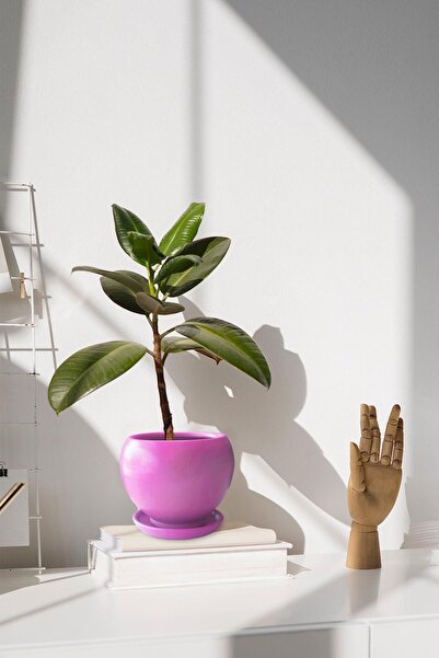 Evdek Tabaklı Pembe Tombul Çömlek Saksı 22x21 Cm