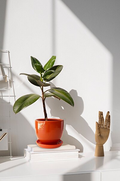 Evdek Tabaklı Turuncu Çömlek Saksı 19x19 Cm