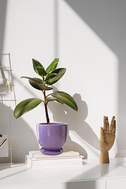 Evdek Tabaklı Lila U Çömlek Saksı 24x24 Cm