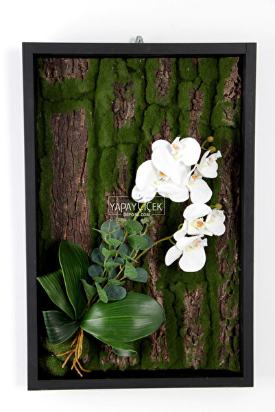 Yapay Çiçek Deposu Yapay Orkide Dekorlu Naturel Ağaç Kabuğu Yosun Tablo 40x60cm