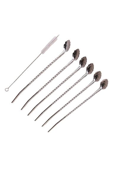 Elista 22 cm 6-Piece Stainless Chrome Straw Latte and Cocktail Spoon and Cleaning Brush - Leaf Model