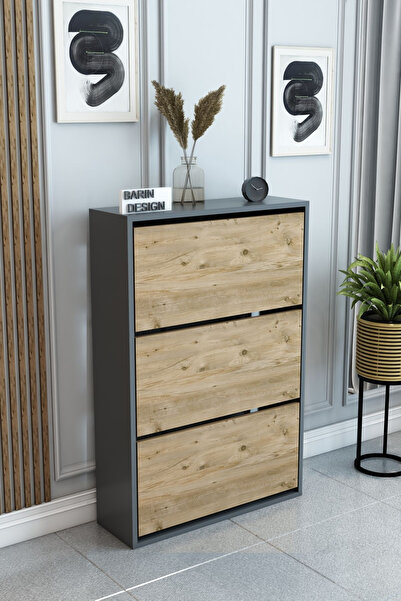 BARIN DESIGN 3 Raflı Ayakkabılık Düşer Kapak Kayar Kapak Vestiyer Portmanto Katlı Bölmeli Kapı Önü Modern