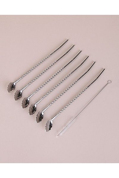 Elista 22 cm 6-Piece Stainless Chrome Straw Latte and Cocktail Spoon and Cleaning Brush - Leaf Model