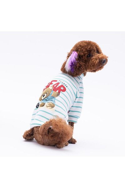 Pettrend Green Bear with Me Printed Knitwear Sweat Cat Dog Sweat Cat Dog Outfit