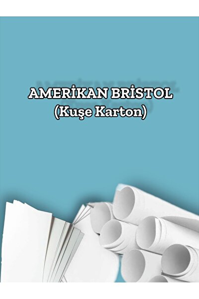Orbak Kağıt 240 Gr Amerikan Bristol Kağıt Karton A4 (21x29,7 cm) - 100'lü Paket (1,49 KG)