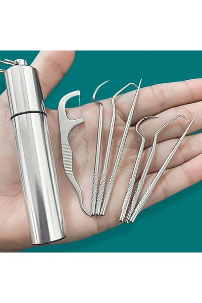 Choice 1set-stainless Steel Toothpick Set Tooth Flossing Reusable Toothpicks Portable Toothpick Floss Te...