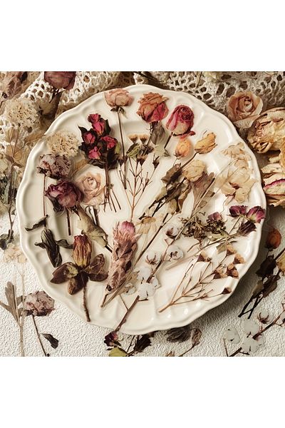 Choice A 40 Pcs Rose Plant Pet Stickers Flowers And Leaf Scrapbook Deco Sticker Label Diary Stationery Jun.