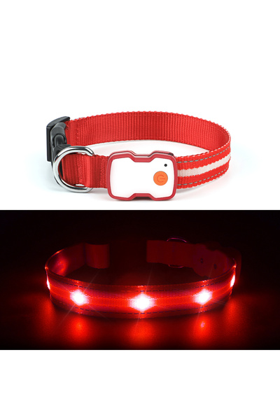 TIZE Tz-tc6230 Led Işıklı Şarjlı Köpek Tasması, Su Geçirmez, 3 Renk Seçenekli