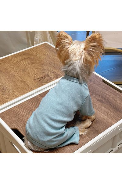Choice XL green Fashion Winter Pet Dog Clothes Solid Color Cotton Dogs Sweaters Chihuahua Puppy Medium Dogs