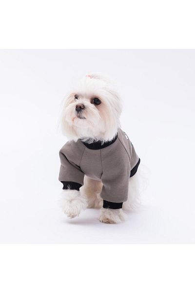Pawstar Smoked Loviisa Sweat Cat Dog Sweat- Cat Dog Outfit