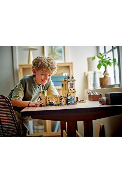 LEGO 76447 هوجورتس ™   القلعة: دروس الطيران