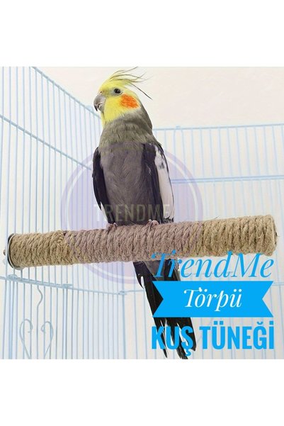 UniqBirdToys Trendme Bird Rasp Bird Feather Picker 2 Pieces