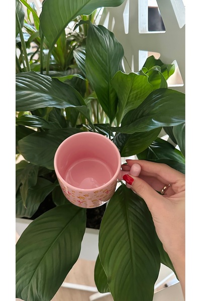 shop Chick Detailed Pink t Handle Mug-Cup Pinterest Mug- Pastel Pink Ceramic Mug