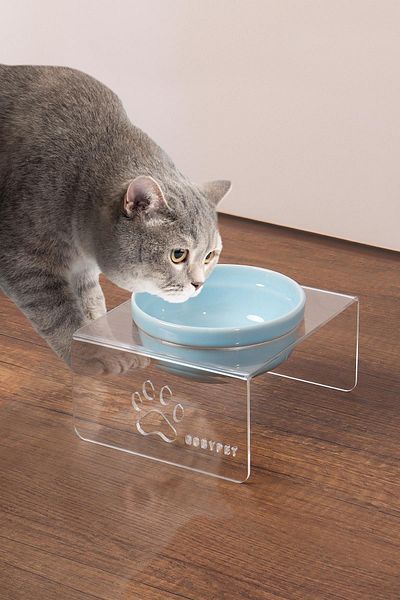 GOBYPET Single Ceramic Decorative Cat and Dog Plexiglass Food & Water Bowl Cat Mat