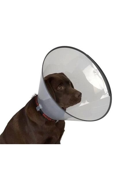 Dermovet Dermo-vet 12.5 Cm Dog Elizabet Collar