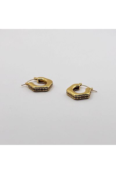 Swan Jewelry Zircon Stone Gold Color Steel Earrings