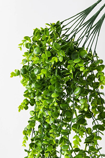 Cihan Çiçekçilik Yapay Okaliptus Sarmaşık 70 Cm