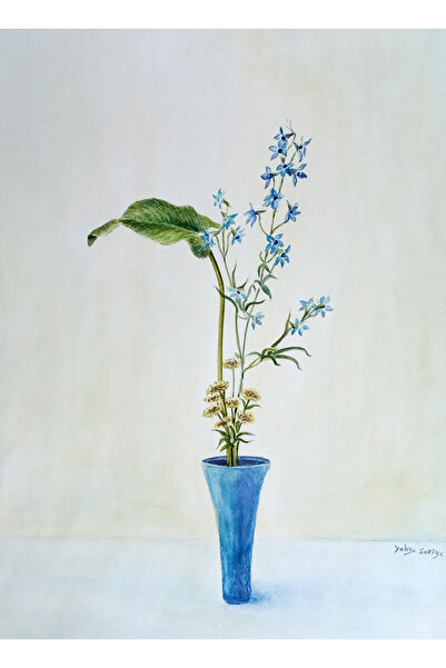 Sarisa pictură originală în acuarelă