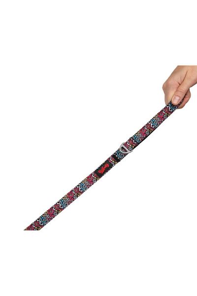 Tailpetz Graffiti Leash Dog Dispatch Strap Medium 2x140 Cm - WEELESGRAM