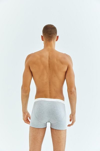 Mineral 50 Men's Gray Boxers